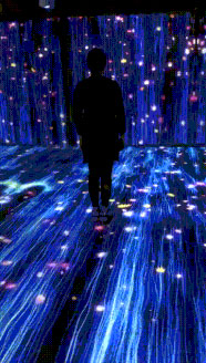 1555467743787585.jpg 31.jpg