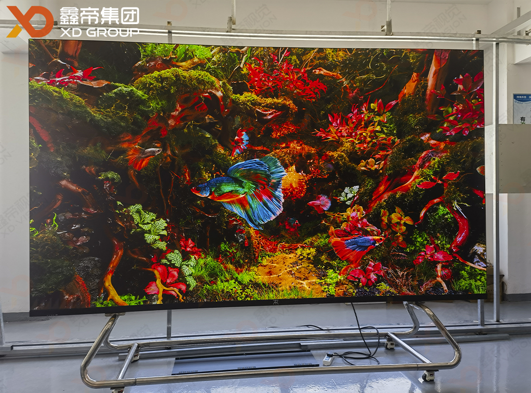 1737023755989419.jpg 165寸一體機-2.jpg